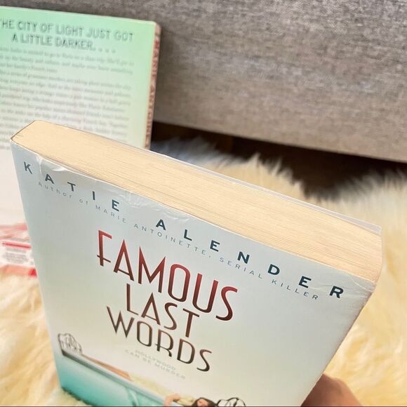 YA TEEN BOOK BUNDLE - Picture 13 of 15